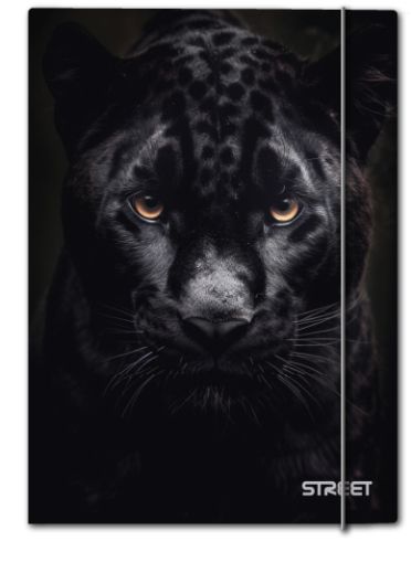 Папка с ластик Street Africa A4, 1 cm