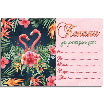 Покани за рожден ден, оп.10, Flamingos