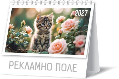 Настолен календар-пирамидка със спирала 2027, котета