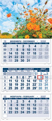 Стенен работен календар КС 250 с цветна глава, 3 секции, NO 6
