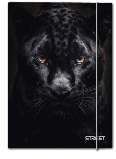 Папка с ластик Street Africa A4, 1 cm