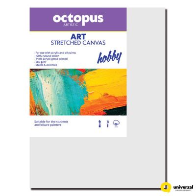 Платно за рисуване Octopus, с рамка, 20x25cm