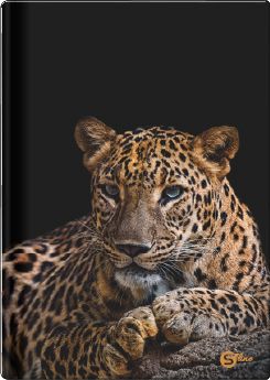 Тетрадка А4, S-line, 96 листа, широки редове, 55g, твърди корици