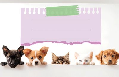 Етикети за тетрадка Street Animals Cute, опаковка 10 бр.
