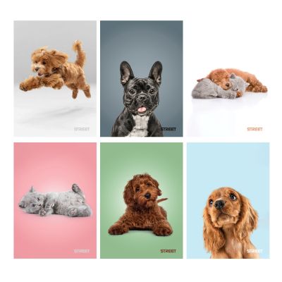 Тетрадка Street, А4, бели листа, 54л, Friends