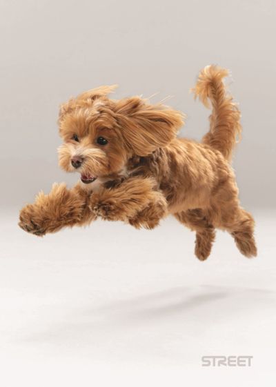 Тетрадка Street, А4, бели листа, 54л, Friends