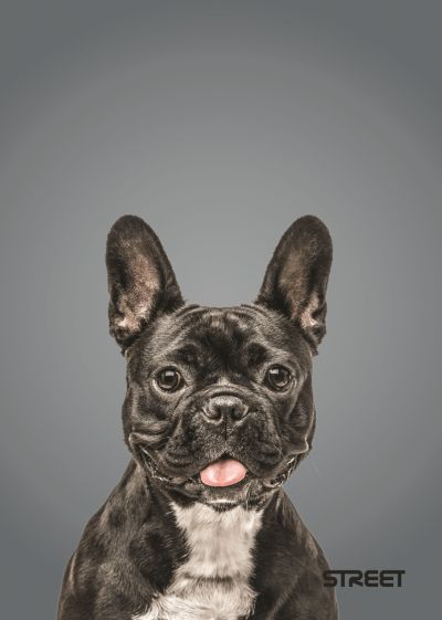 Тетрадка Street, А4, бели листа, 54л, Friends