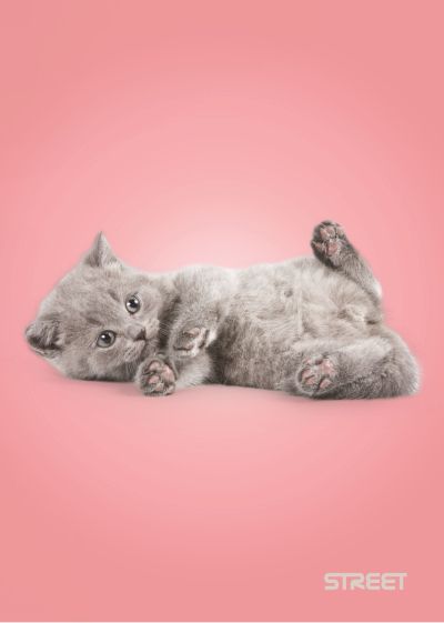 Тетрадка Street, А4, бели листа, 54л, Friends