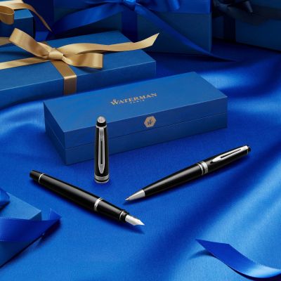 Химикалка Waterman Expert Stainless Steel GT