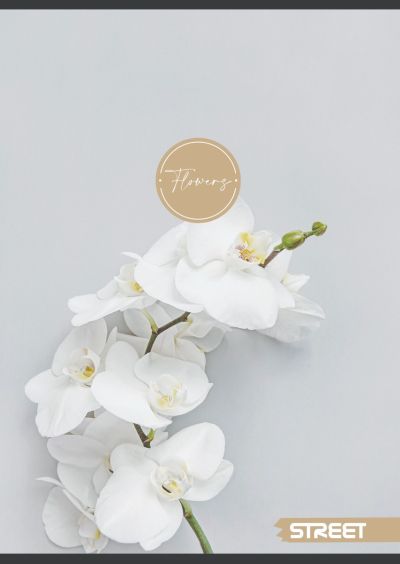Тетрадка с телчета А4, 60 листа, широки редове, БГ, Flowers