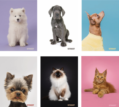 Тетрадка с телчета А5, 60 л, широки редове, БГ, Friends