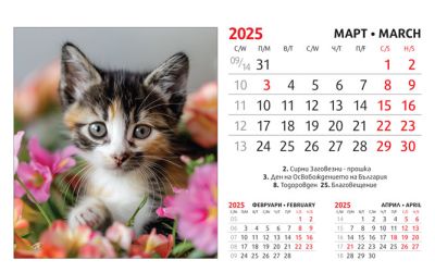 Настолна пирамидка ПП, 12-листова, 16х10 cm, котета