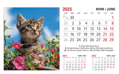 Настолна пирамидка ПП, 12-листова, 16х10 cm, котета