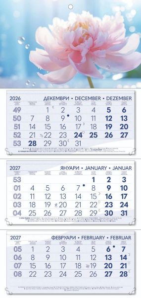 Стенен работен календар РК 103, 3 секции, син