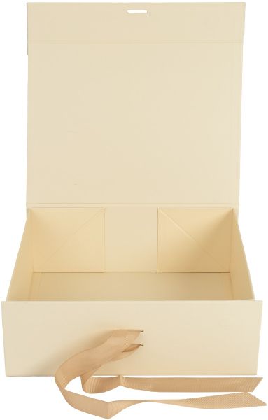 Подаръчна кутия 22x16x8,5cm, БЕЖОВ