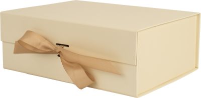 Подаръчна кутия 22x16x8,5cm, БЕЖОВ