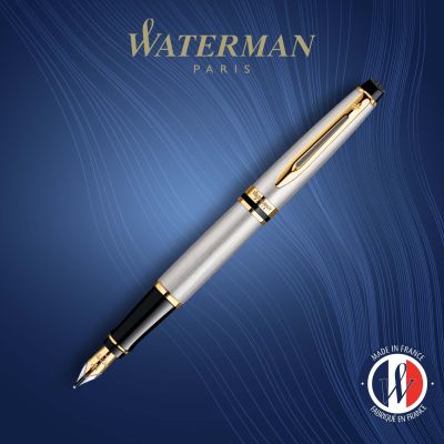 Писалка Waterman Expert Stainless Steel GT